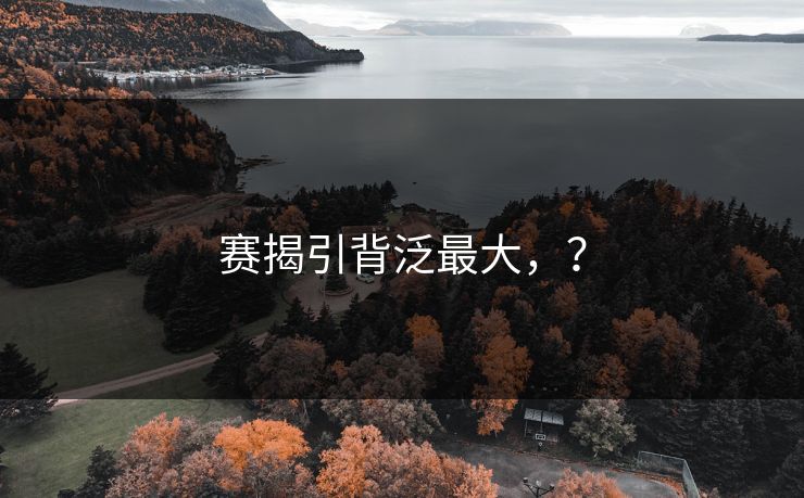 赛揭引背泛最大，？
