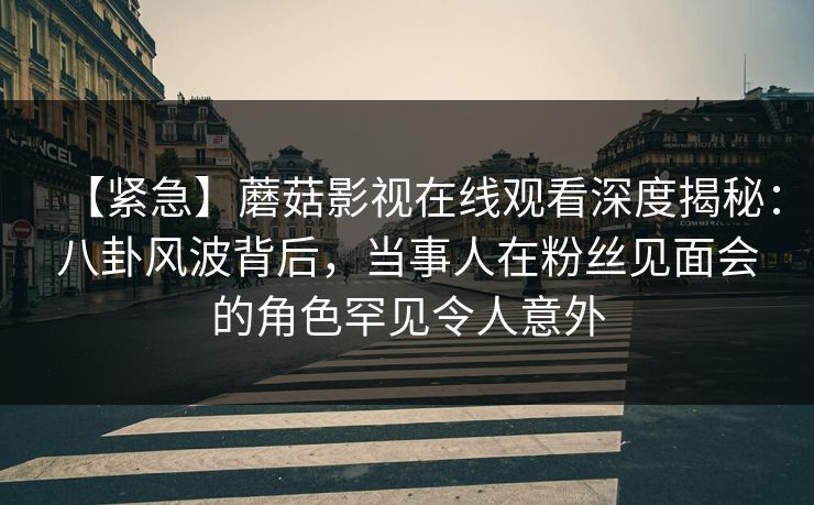 【紧急】蘑菇影视在线观看深度揭秘:八卦风波背后,当事人在粉丝见面会的角色罕见令人意外