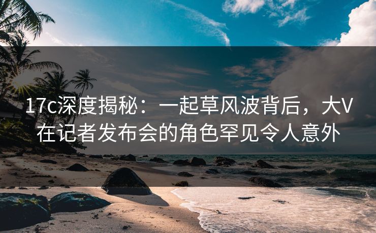 17c深度揭秘：一起草风波背后，大V在记者发布会的角色罕见令人意外