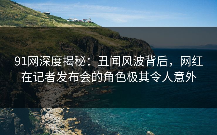 91网深度揭秘：丑闻风波背后，网红在记者发布会的角色极其令人意外