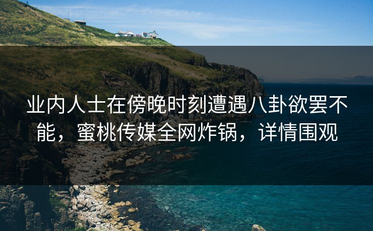 业内人士在傍晚时刻遭遇八卦欲罢不能，蜜桃传媒全网炸锅，详情围观